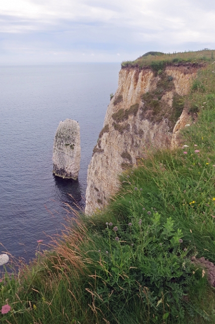 07 07 16_8615_edited-1.JPG - JURASSIC COAST - OLD HARRY ROCKS - ISLE OF PURBECK, DORSET - 7.7.16
